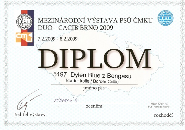 diplom Brno 8.2.09