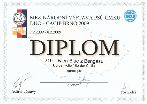 diplom Brno 7.2.09