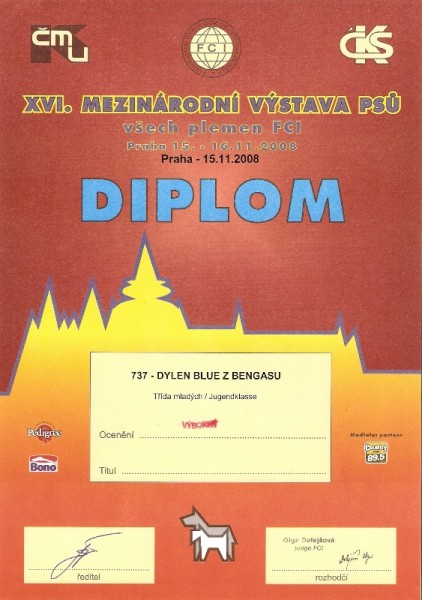diplom Praha 15.11.08