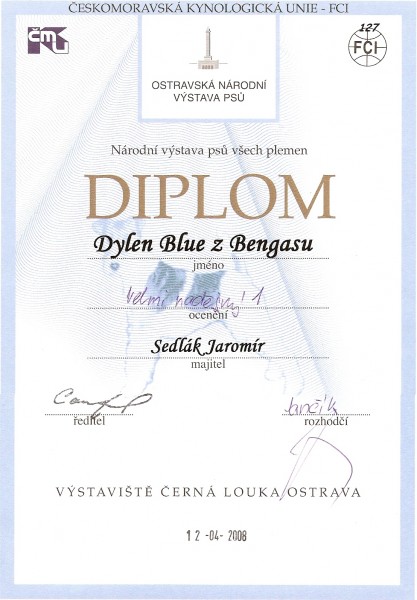 diplom NVO